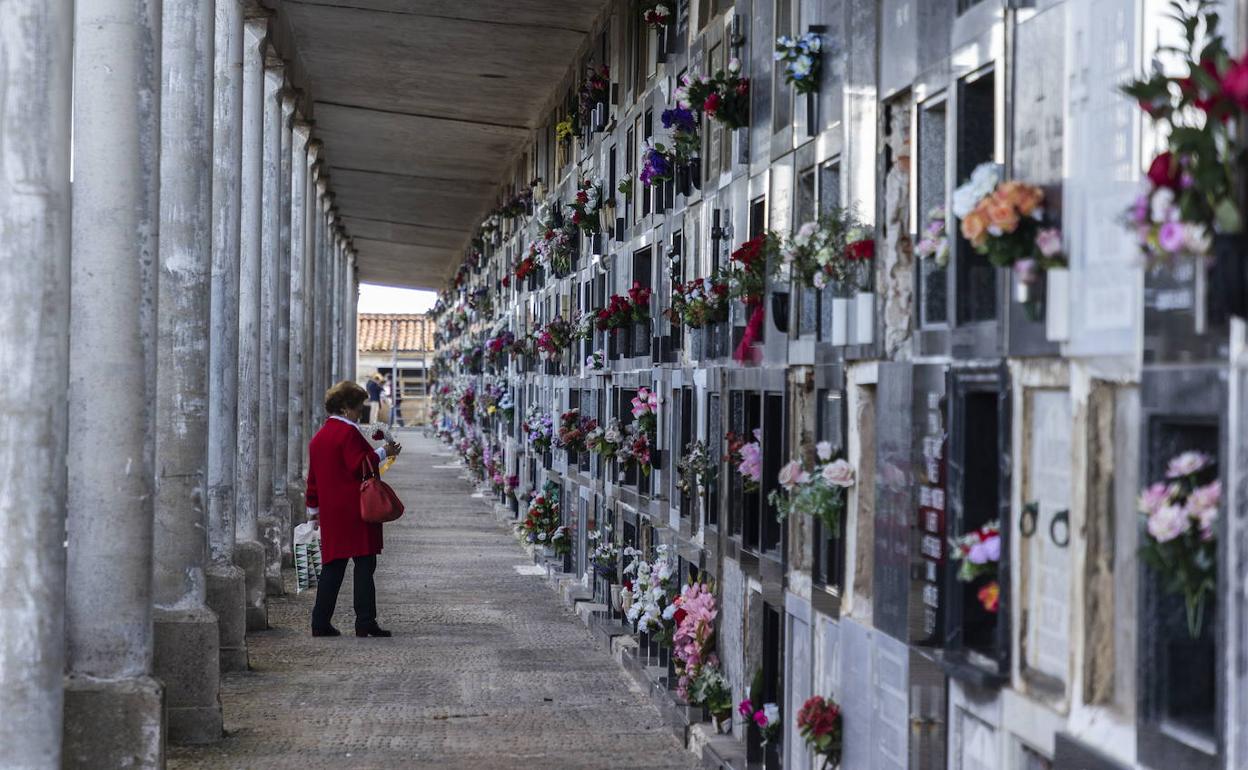 El cáncer y las enfermedades del corazón y el sistema circulatorio son las principales causas de muerte. 