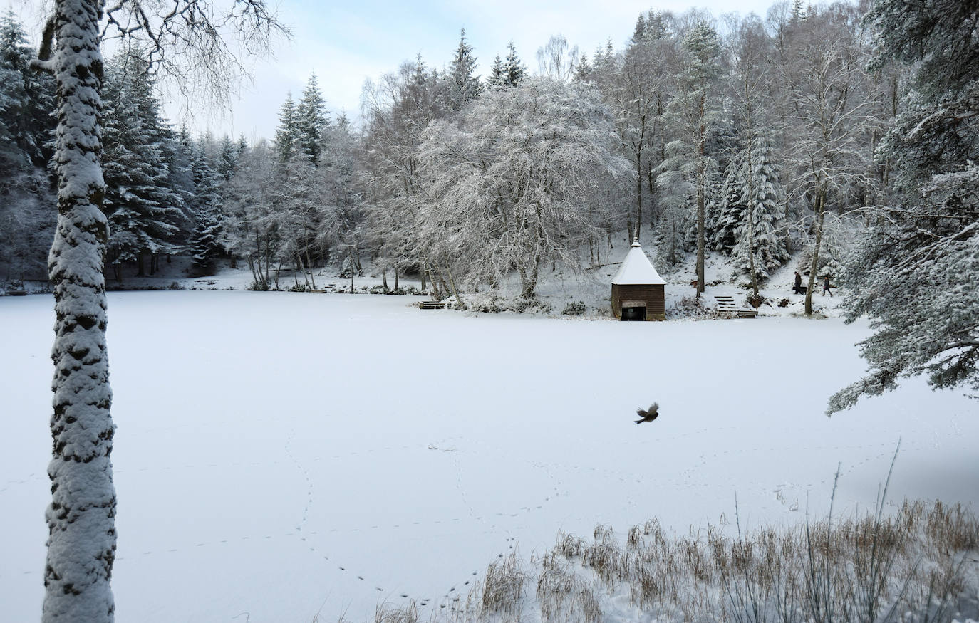 Pitlochry (Escocia)