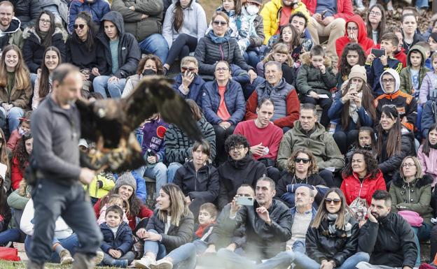 Galería. Decenas de personas disfrutan del primer pase de la exhibición de aves rapaces que se hace por la mañana.