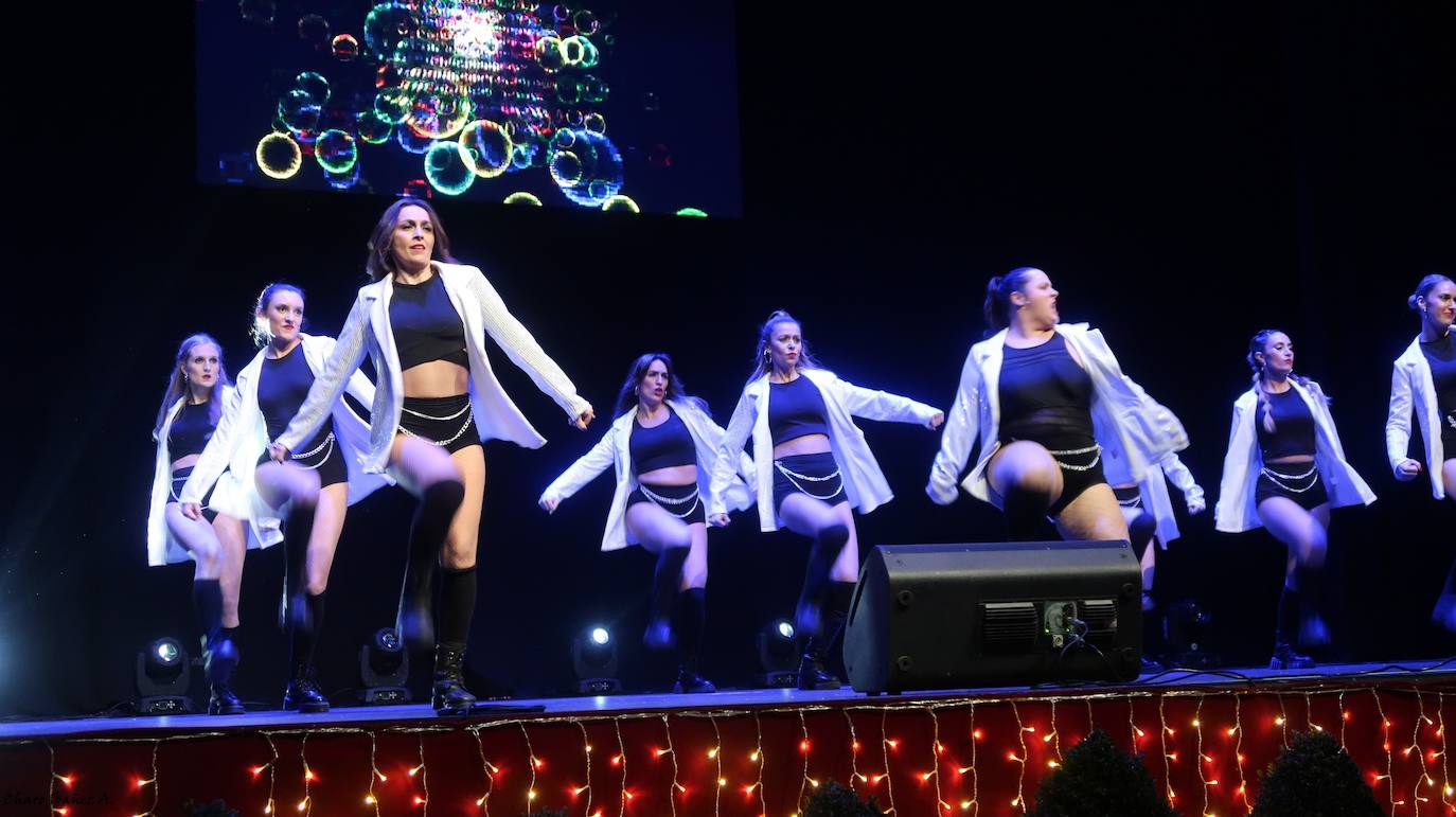 Veinticinco artistas y creadores cántabros mostraron su arte en el Teatro Concha Espina durante la Gala Solidaria de Navidad para recaudar fondos para al Banco de Alimentos, Cáritas y la Cocina Económica