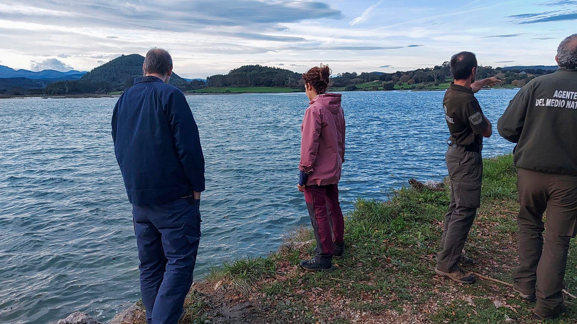 Esta mañana, coincidiendo con la pleamar, Agentes del Medio Natural de la Consejería de Desarrollo Rural, han retirado el cadáver del cetáceo para trasladarlo al Centro de Recuperación de Fauna Silvestre,en Villaescusa.