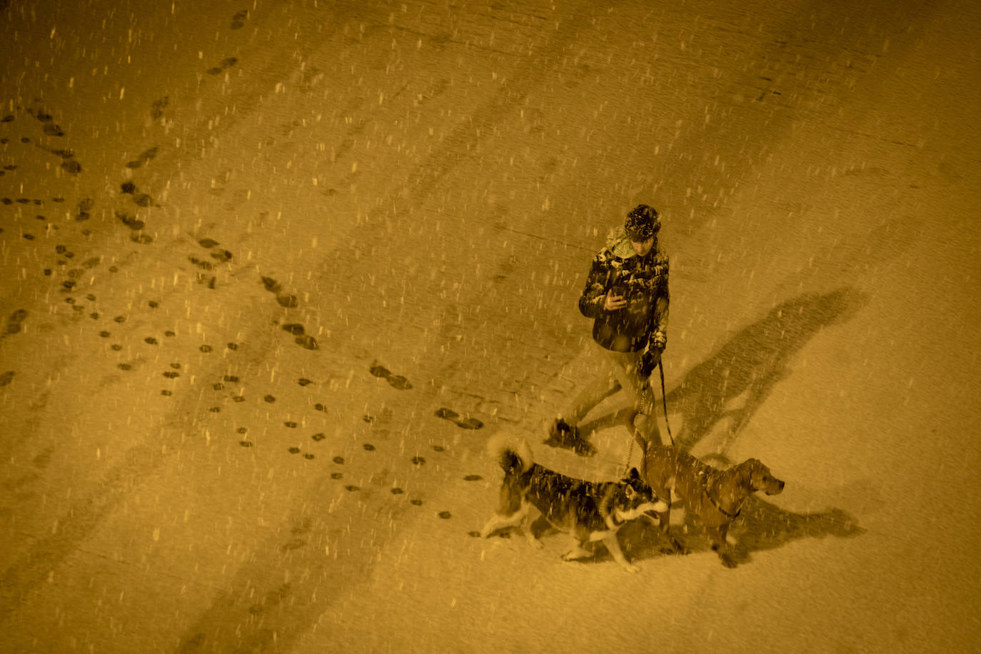 Los perros no solo lo pasan en grande cuando caen los primeros copos, también activan su metabolismo para protegerse del frío