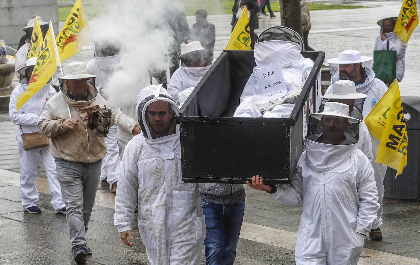 Los apicultores cántabros protestan