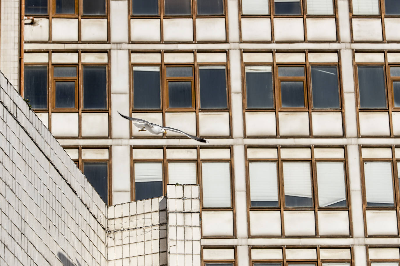 Estado actual del edificio de la Residencia