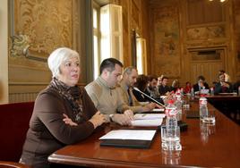 Blanca Rosa Gómez Morante en un pleno del Ayuntamiento de Torrelavega