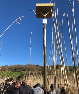 Imagen secundaria 2 - El trabajo en equipo de una veintena de voluntarios ha logrado culminar una tarea complicada por tener que trabajar en un entorno con fangos