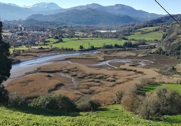 Colocan dos posaderos y una plataforma de nidificación para el águila  pescadora en la ría de Rada | El Diario Montañés