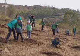 Fotograma del video 'El Bosque del Cine' grabado hace apenas tres semanas en Udías