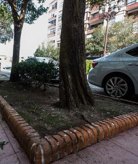 Imagen secundaria 2 - El rastro de los estorninos afecta a diferentes espacio de la vía de la capital del Besaya.