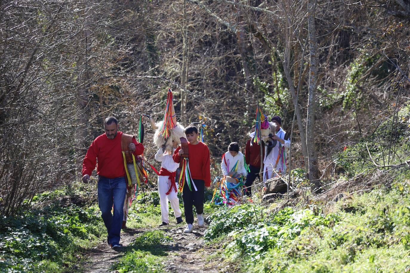 Finalizado el acto, se inició desde los prados de Los Llanos, la 'Carrera del Andruido', donde campaneros y zamarrones descendieron