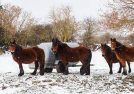 En la Cantabria del Ebro se espera nieve todo el día.