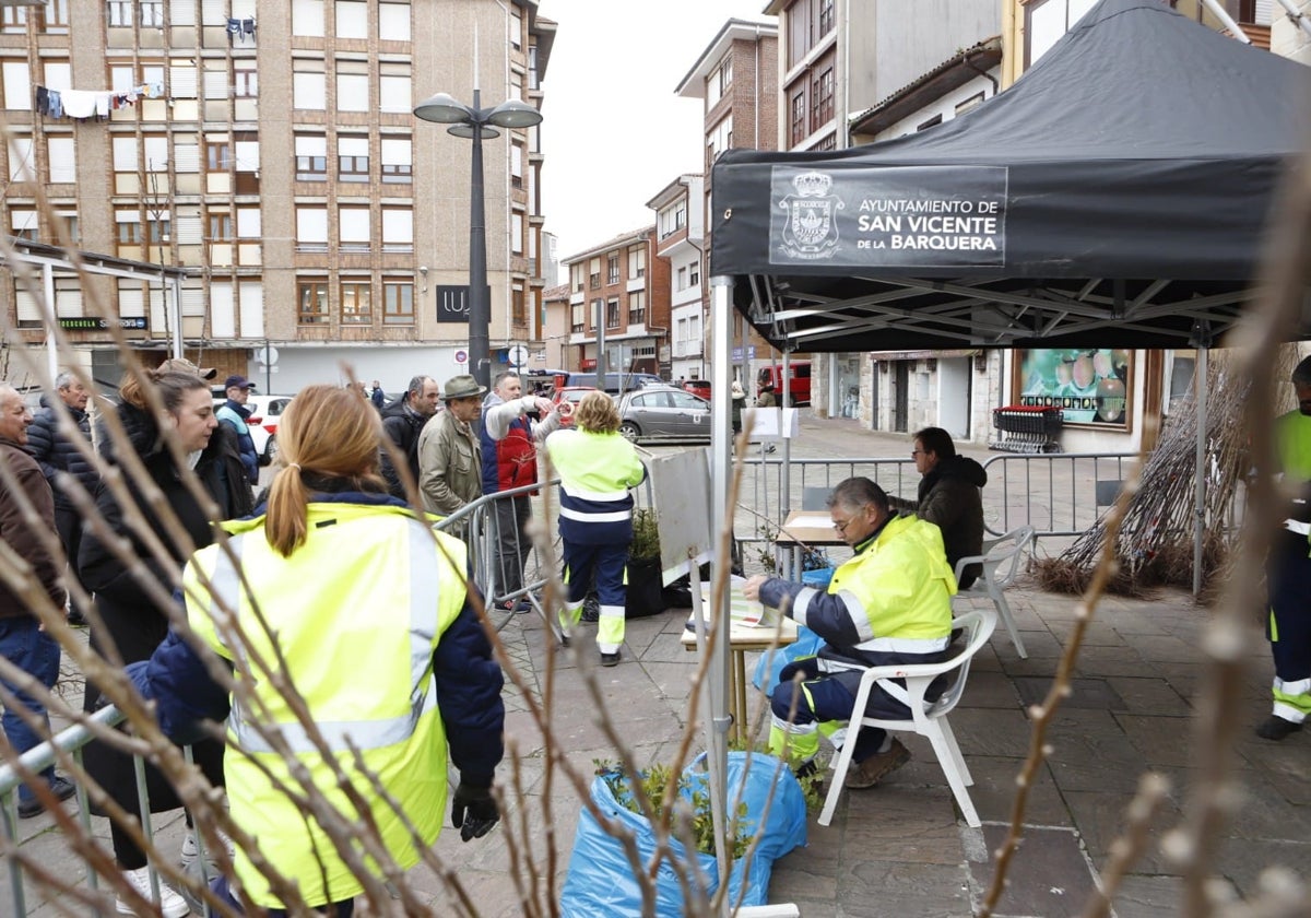 Un momento del reparto de los árboles en la plaza del Arenal de San Vicente