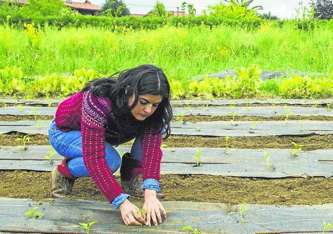 Cada vez más mujeres se hacen cargo de proyectos agrarios.