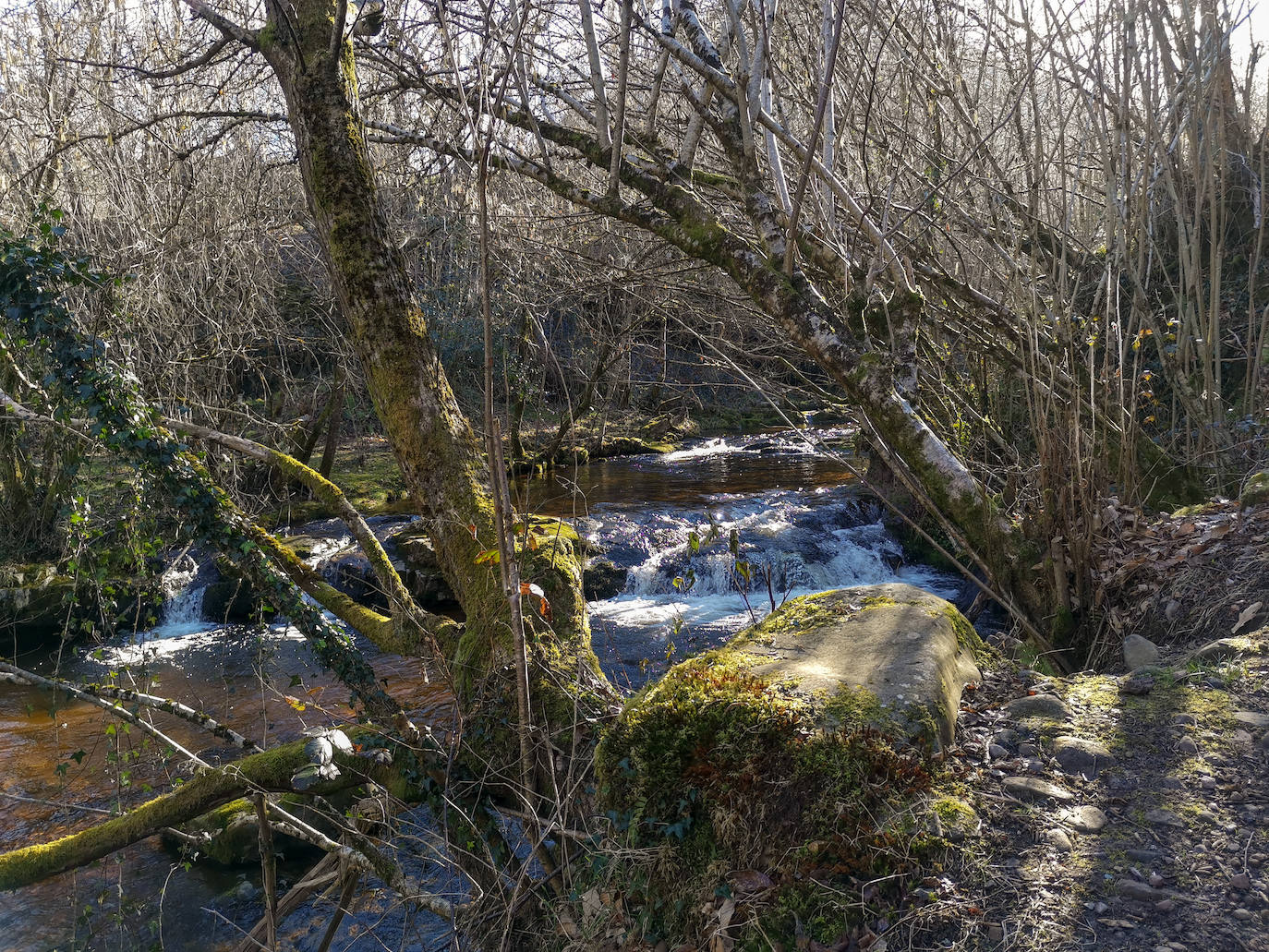 El cauce del río Yera aparece y desaparece a lo largo del camino. 