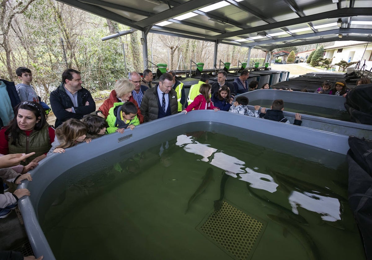 Escolares del Príncipe de Asturias de Ramales, junto a los consejeros Blanco y Lombó, miran uno de los tanques de cría de salmón del Centro Ictiológico de Arredondo