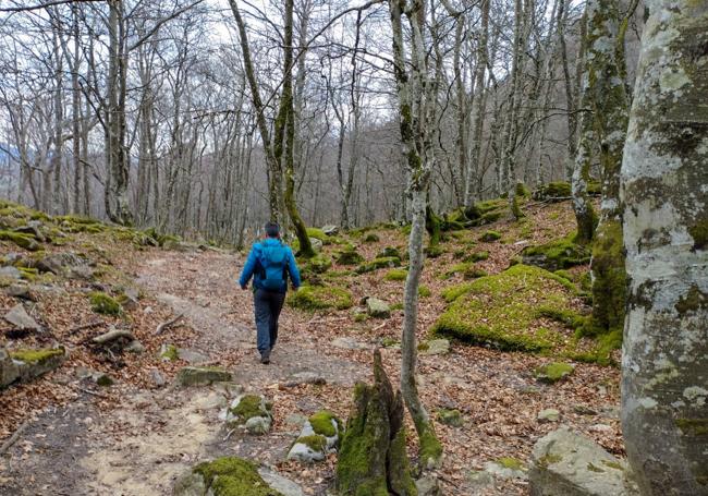 De vuelta al inicio del recorrido.