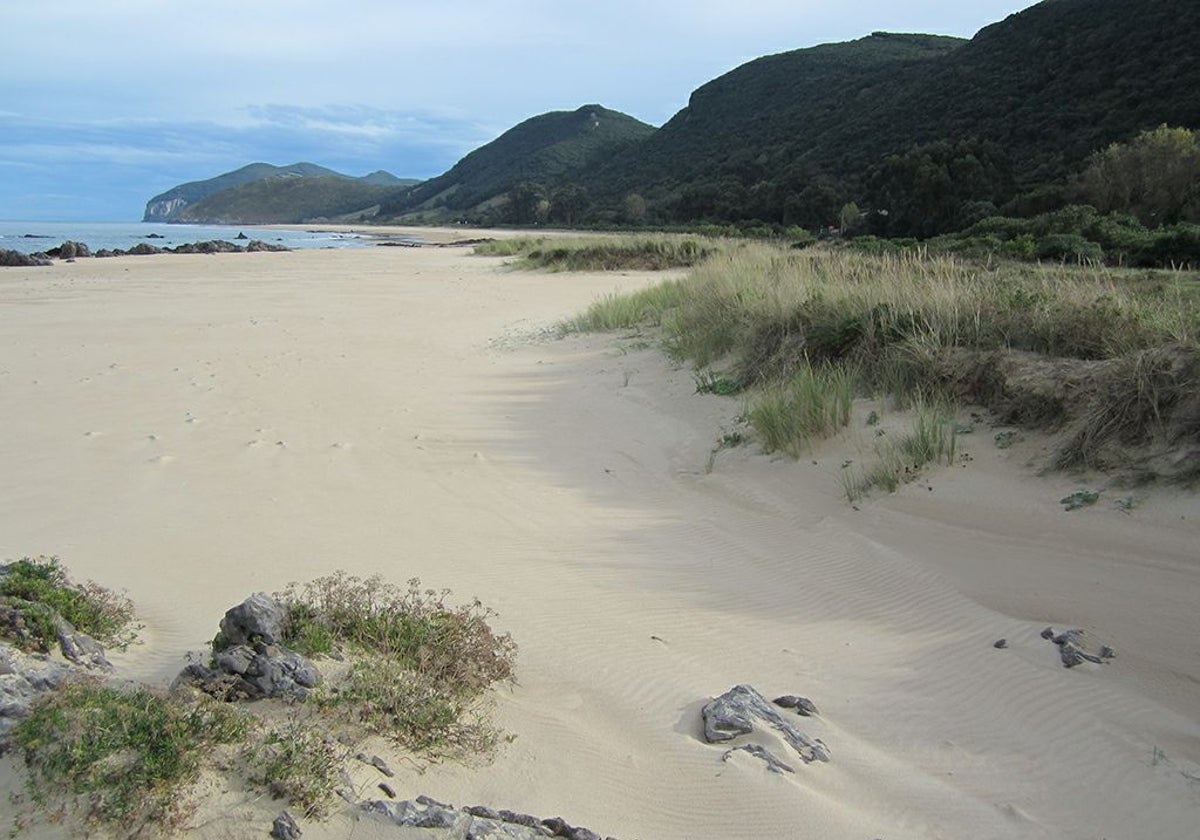 Playa Trengandín.