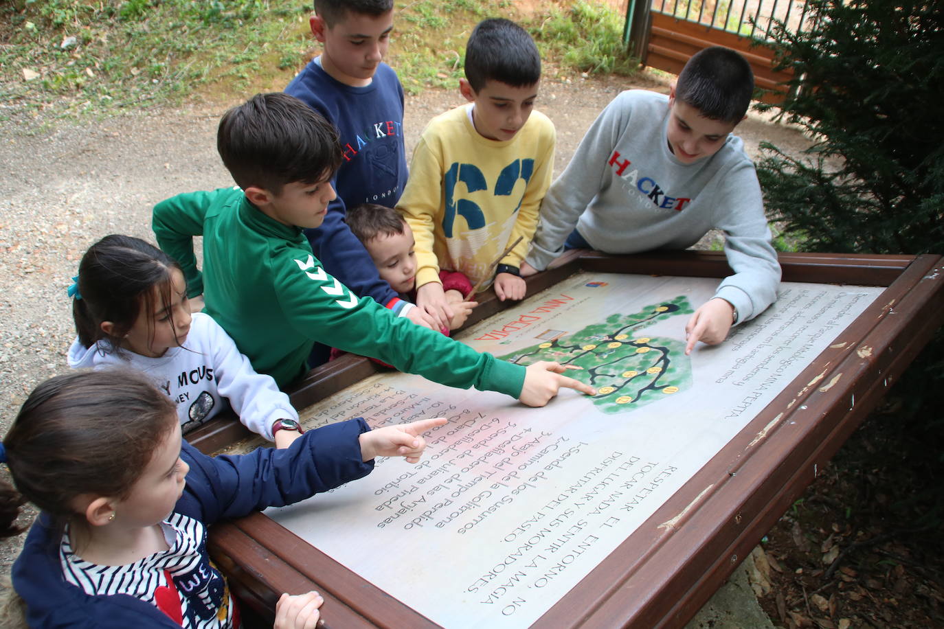 Los chavales consultan el mapa colocado en el recinto para facilitar la búsqueda de todos los seres.