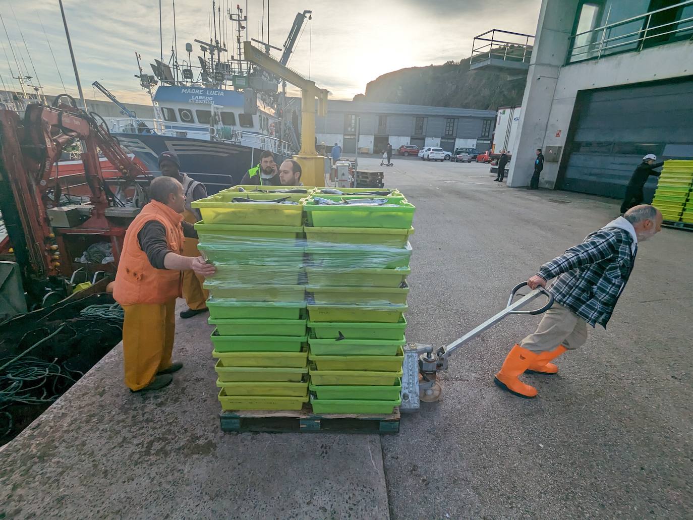 En tierra los movimientos son sincronizados para trasladar la valiosa pesca al interior de la lonja.