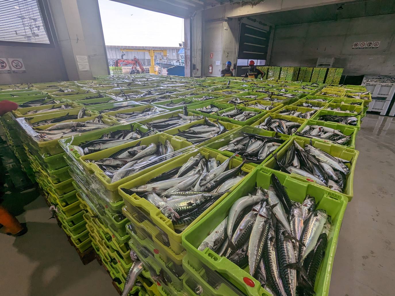 En la lonja las cajas se acumulan a la espera de que se concrete su precio de venta y se despachen a las pescaderías. 