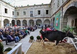 Ariel, la vaca frisona, en el patio del Parlamento de Cantabria esta mañana.