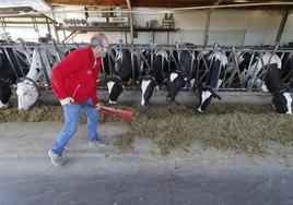 Los costes de producción siguen disparados para los ganaderos, que se rebelan contra una bajada del precio de la leche.