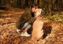 Con las mascotas se llegan a establecer vínculos tan estrechos que muchos dueños comparan el impacto de su pérdida con la de un miembro de la familia.