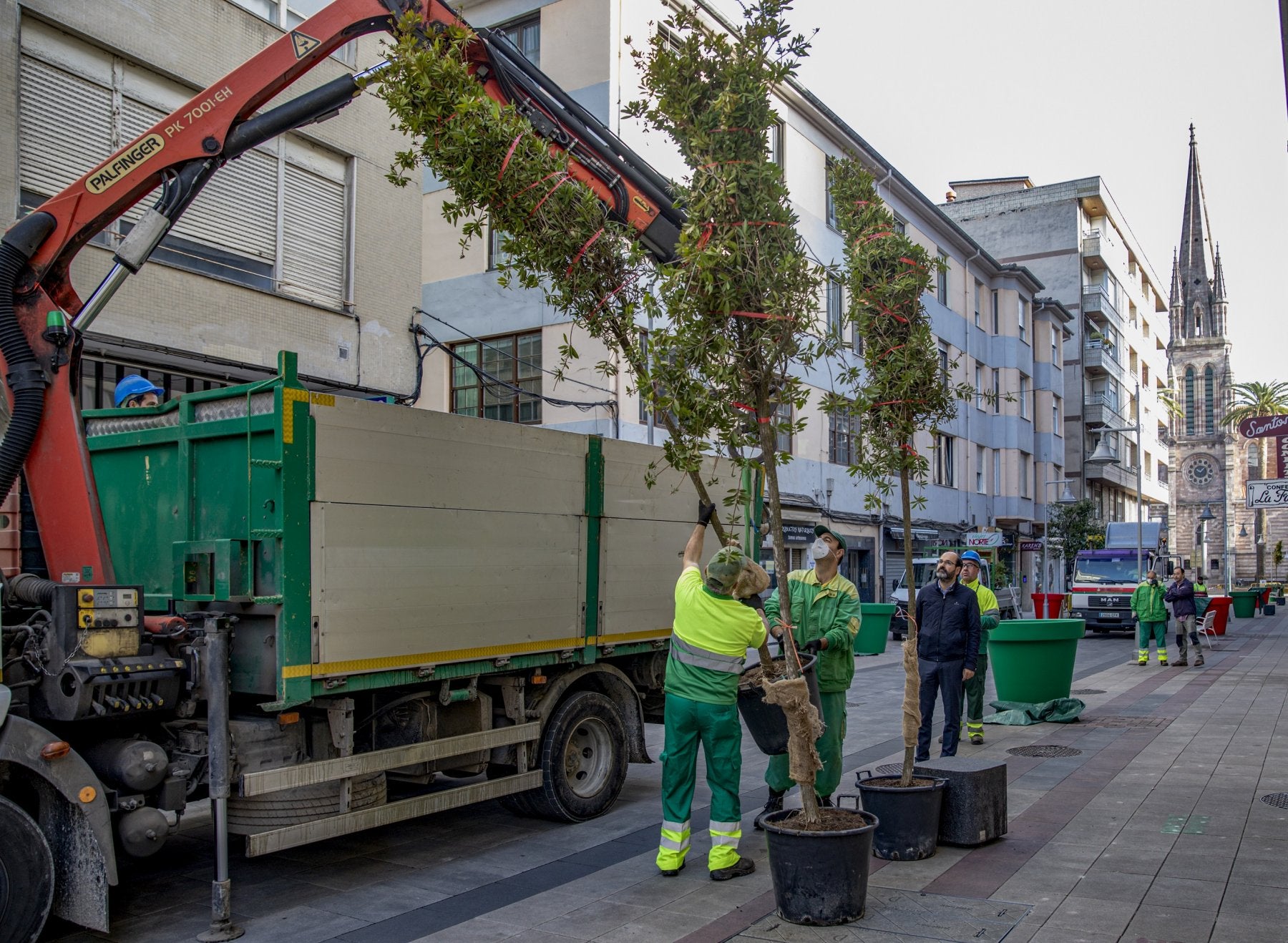 Trabajadores del Serca descargan los árboles en la calle Consolación, en presencia del concejal del área.