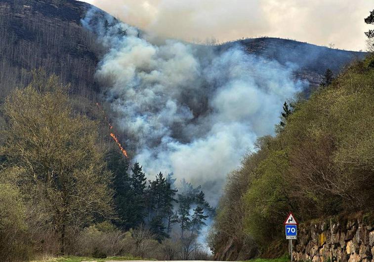 El incendio de Santa Lucía, cerca de Cabezón de la Sal, se ha reactivado esta tarde.