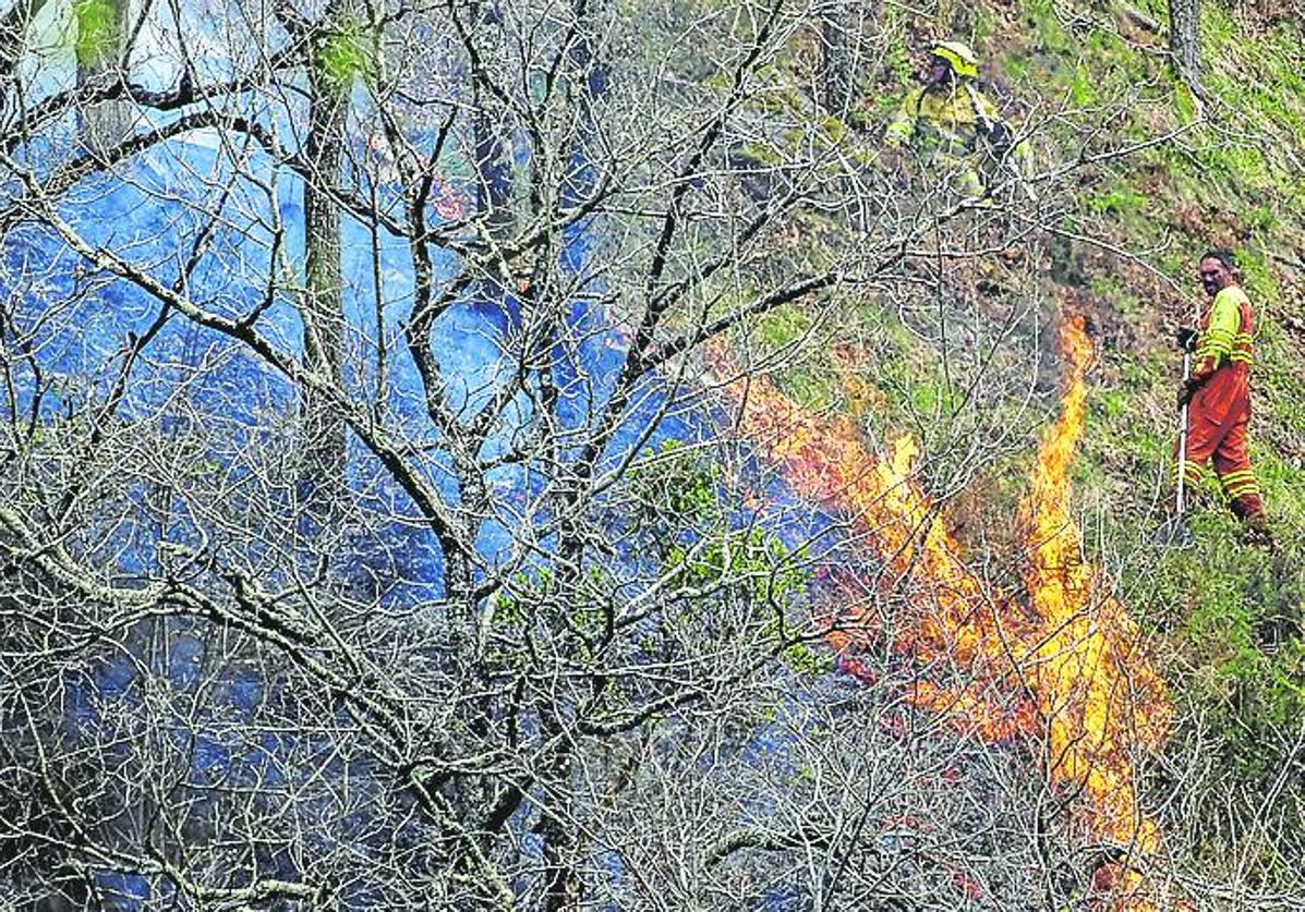 Los bomberos forestales sofocan un incendio en Vega de Pas.