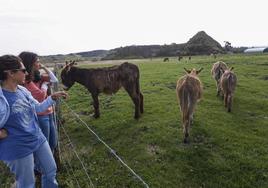 María Teresa Vélez y Sara Gómez observan a una manada de burros en la zona que está siendo objeto de restauración.