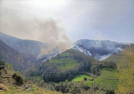 Incendio extinguido en Vega de Pas.