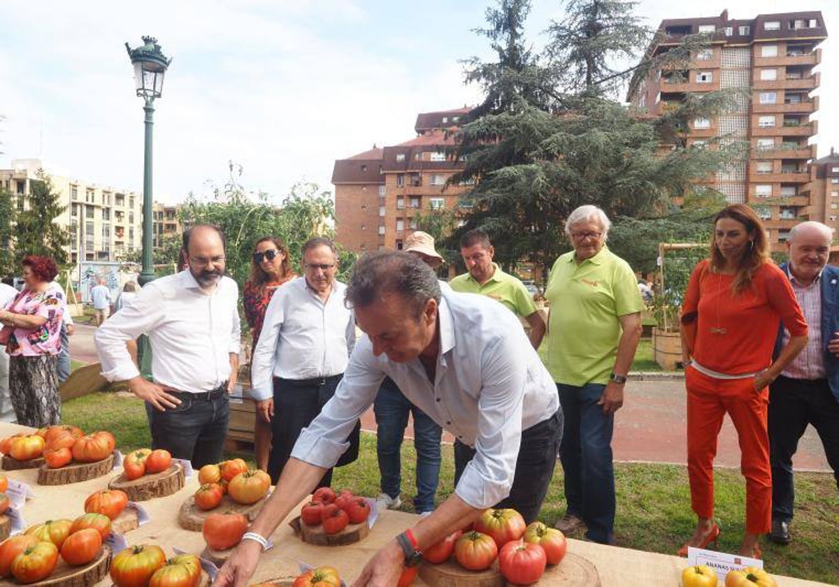 El Consejero Guillermo Blanco se interesa por una variedad de tomate, en la Feria del Tomate del pasado septiembre, acompañado de diferentes autoridades regionales y municipales.