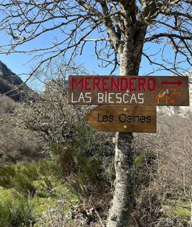 Imagen secundaria 2 - Arriba las dos lechuzas que pueden verse por el camino. Abajo, dos de las señales de la ruta.