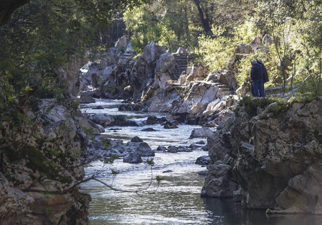 En el coto de Puente Viesgo se ven hasta las piedras del lecho del río.