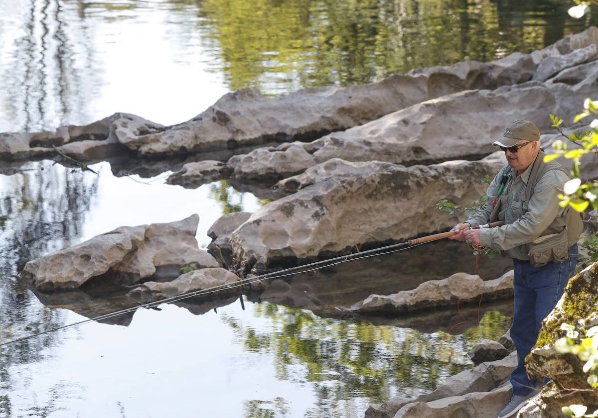 Un pescador, en la zona de Puente Viesgo, trata de capturar el 'campanu' en Cantabria.