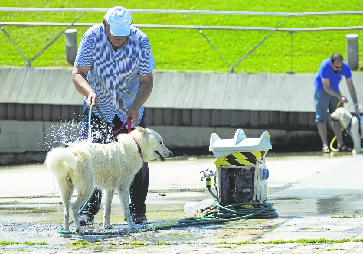 Dos hombres bañan a sus respectivos perros con mangueras en Gamazo durante una jornada de altas temperaturas en Santander.