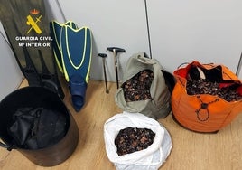 La Guardia Civil Seprona interceptó 41 kilos de percebes de pesca furtiva en Oreña.