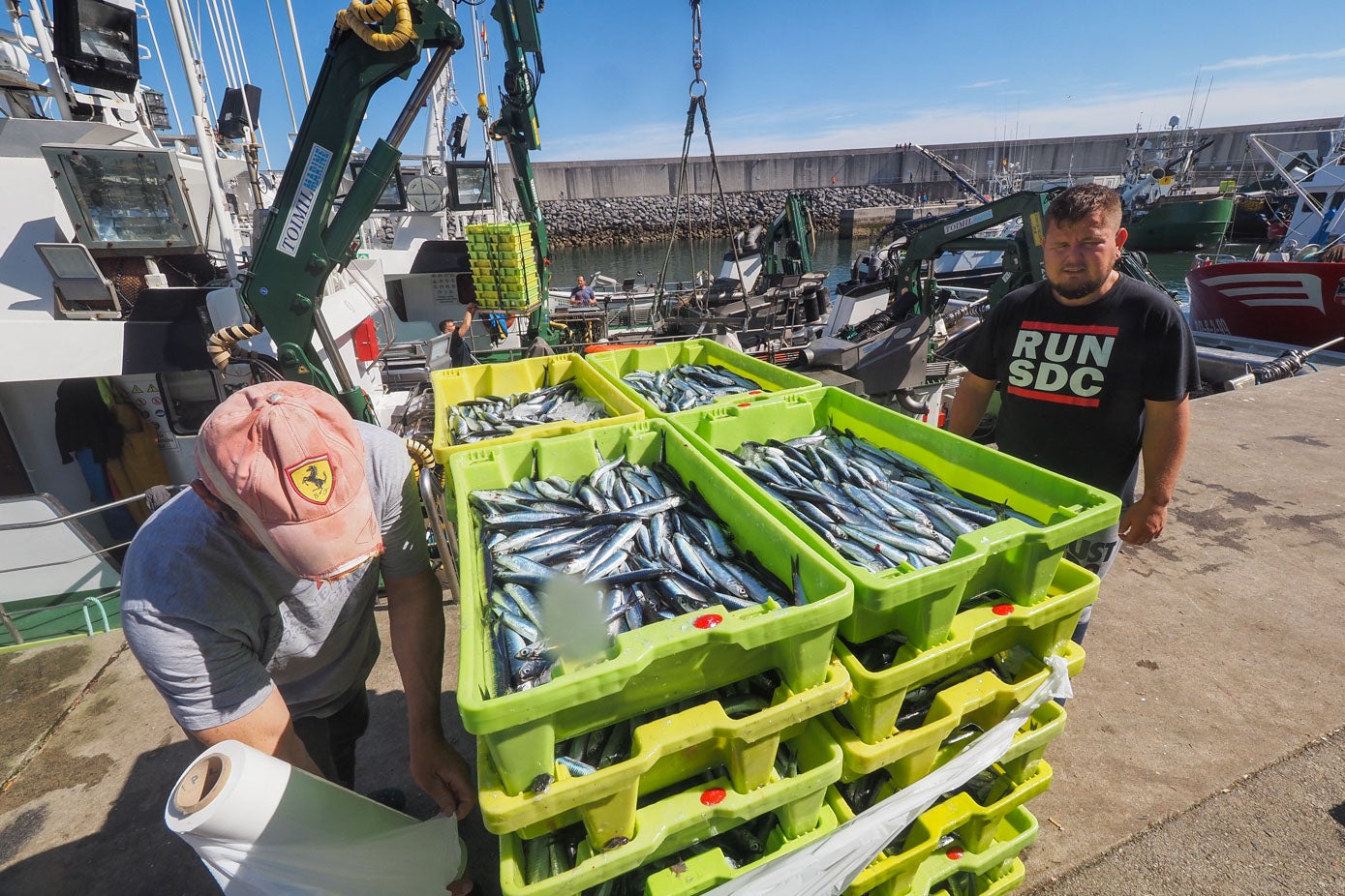 El bocarte que se ha vendido a primera hora de esta mañana ya está en las pescaderías y mercados de abastos de la región.