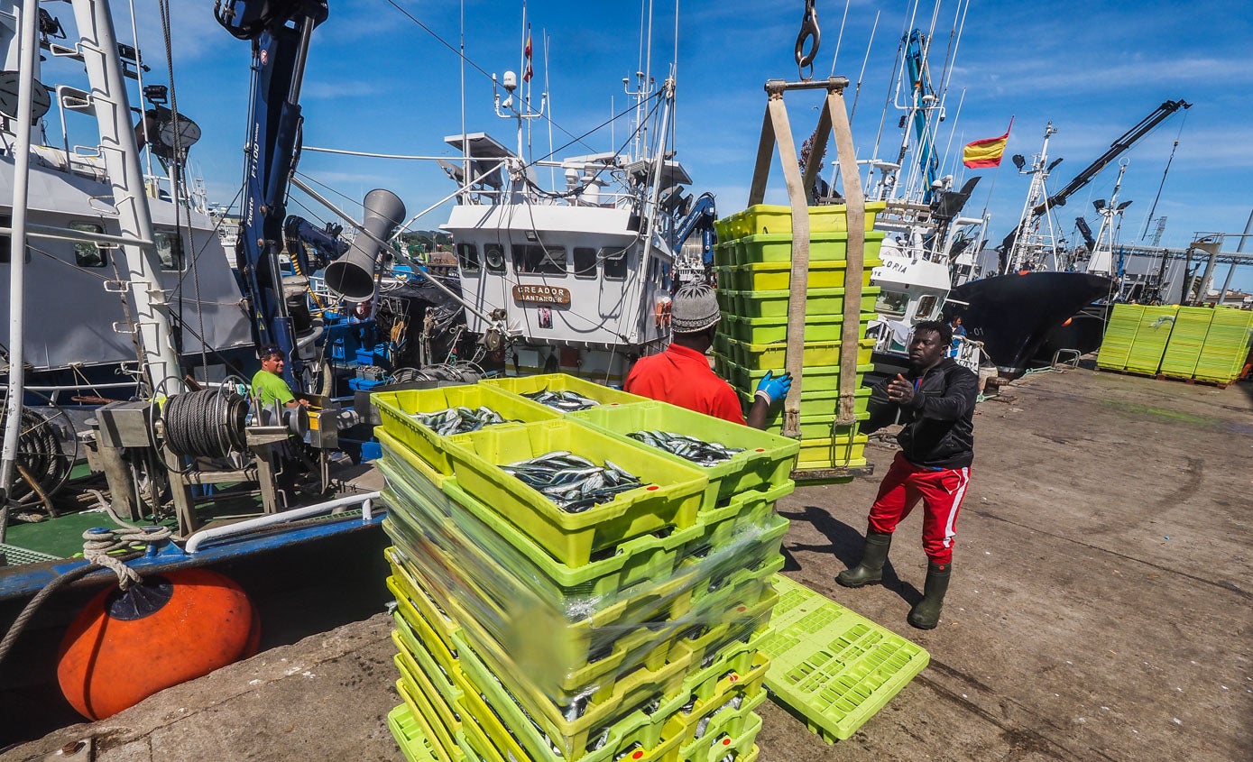 Tras la descarga, se lleva el pescado a la zona de pesaje, después se subasta para acabar cargando la cajas en los camiones de los compradores que lo han adquirido. 