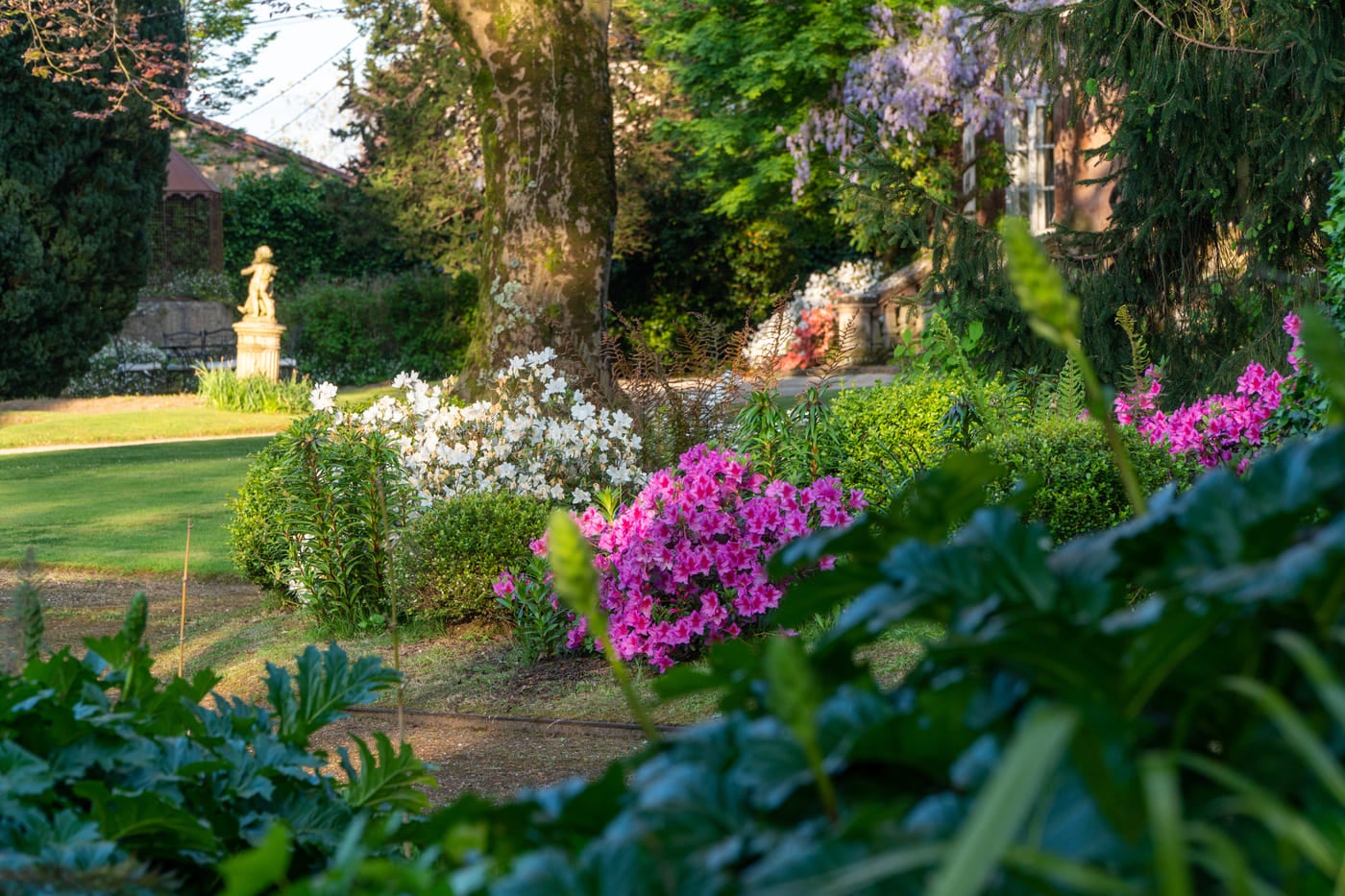 Diversas flores se reparten por todo el jardín. 