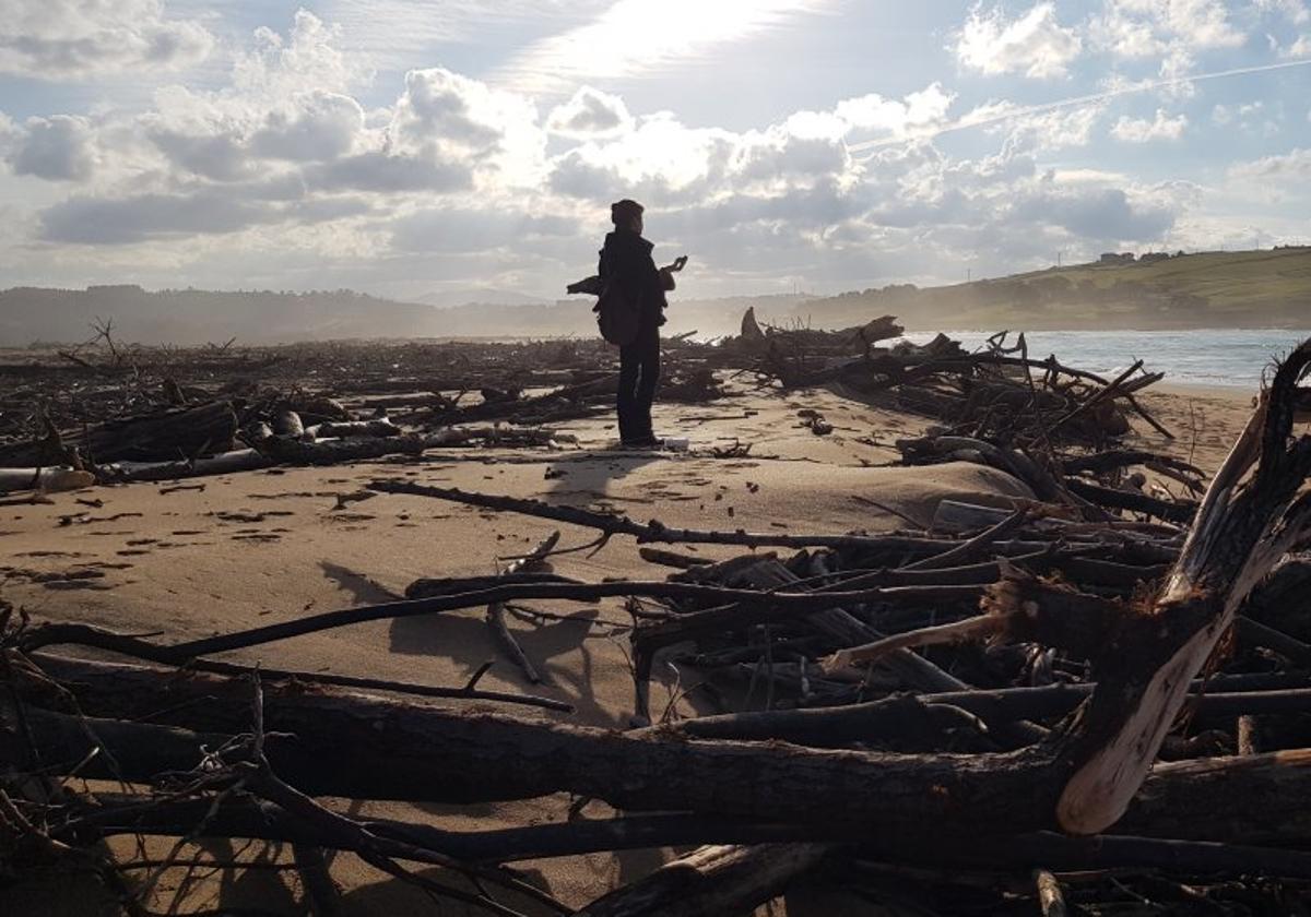 Imagen del trabajo de recolección de madera de arribazón en las dunas de Liencres.