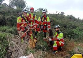 Rescatados tres perros caídos a 30 metros en una torca en Udías