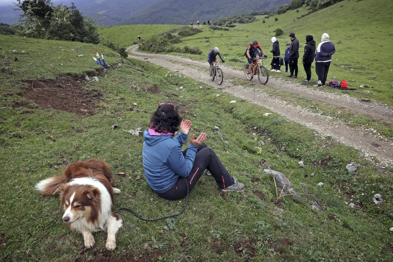 Las parcelarias y caminos también registraron afluencia de público.