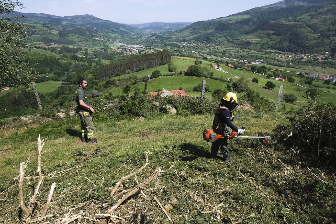 Miembros de la BRIF Ruente realizan labores de desbroce, esenciales para la prevención de incendios.