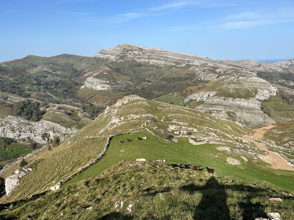 Paisaje que se divisa desde lo alto