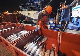Dos marineros introducen en las tinas, una a una, las piezas capturadas en alta mar