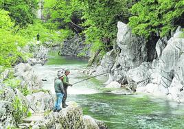 Unos pescadores, a la búsqueda del salmón en el coto del río Pas, a la altura de Puente Viesgo.