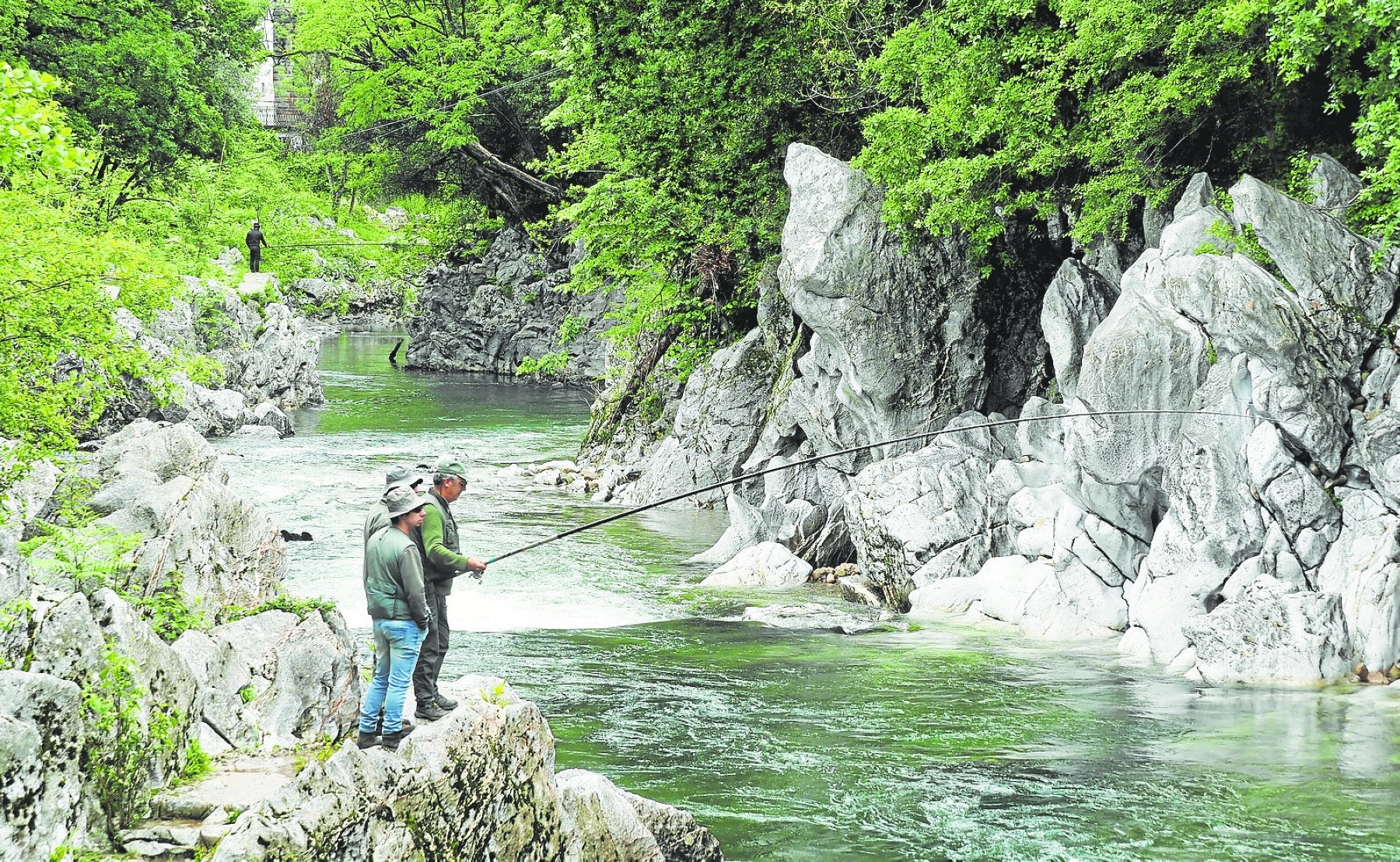 Unos pescadores, a la búsqueda del salmón en el coto del río Pas, a la altura de Puente Viesgo.