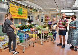 Viveros El Acebo repartió las plantas entre las 500 familias que lo solicitaron.